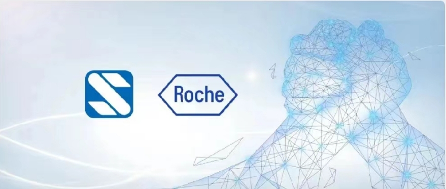 尊龙官方生物携手罗氏诊断，，，，，谱写凝血检测相助新篇章！