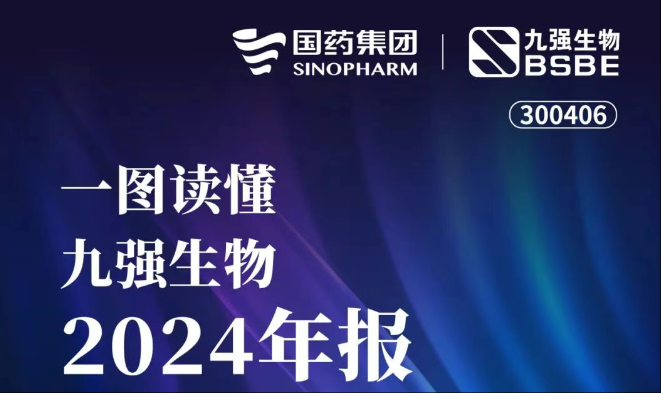 һͼ���������ٷ�����2024�걨