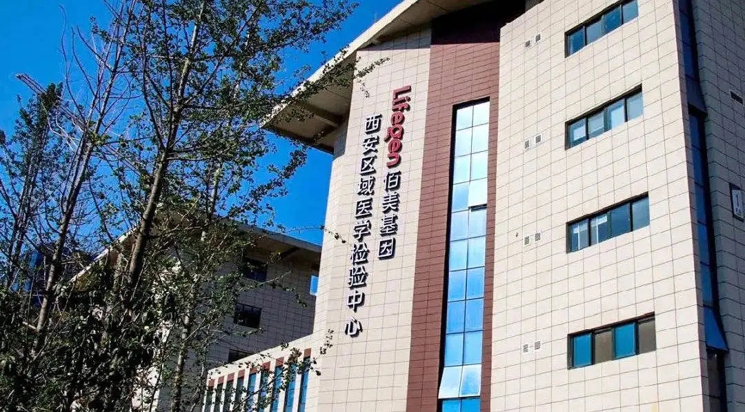 ��һ���������ٷ�������������������ҽѧĥ�����Ĺ�����