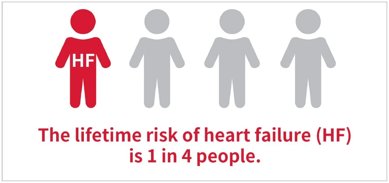 新品上市 | 心衰诊断双包管——聚焦心衰精准诊断，，，，，我们从未止步！