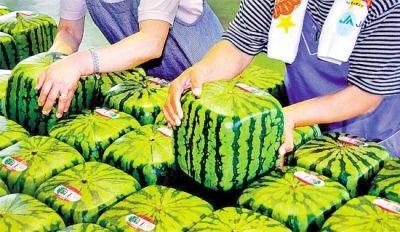 ��ҳ| ���������й��ٷ���վ